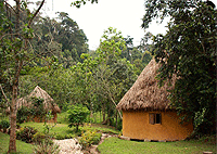 Nshongi Camp – Bwindi Impenetrable National Park