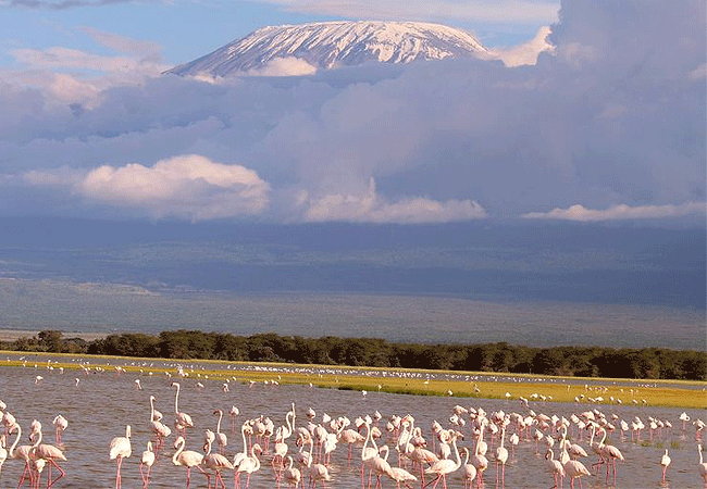 Ol Tukai Lodge Amboseli National Park