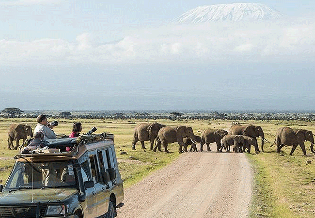 Ol Tukai Lodge Amboseli National Park