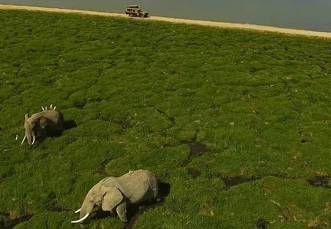 Ol Tukai Lodge Amboseli National Park