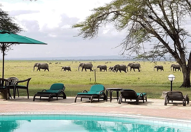 Ol Tukai Lodge Amboseli National Park