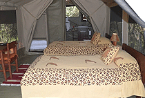 Olkeri Mara Safari Camp, Siana Conservancy – Masai Mara National Reserve