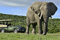 Olowuaru Keri Mara Camp Masai Mara