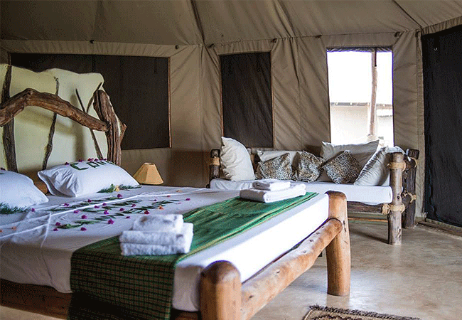 osteria-swara-camp-tsavo-east-national-park-tents-are-well-equipped-with-comfortable-beds-containing-queen-sized-beds Osteria Swara Camp Tsavo East National Park