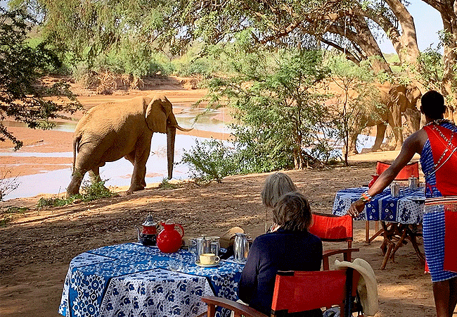 rlephant-watch-camp-samburu-offers-intimate-elephant-safaris-in-samburu-kenya Elephant Watch Camp Samburu National Reserve Kenya
