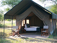 Ronjo Camp, Seronera – Serengeti National Park