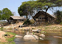 Ruaha River Lodge, Ruaha National Park – Tanzania