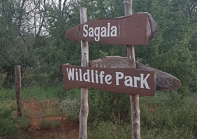 Sagala Lodge Tsavo East National Park