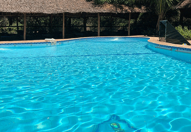 samburu-intrepids-tented-camp-has-a swimming-pool Samburu Intrepids Tented Camp