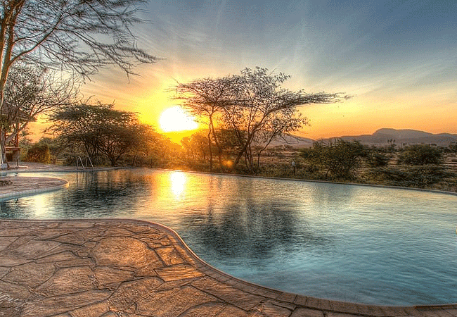 Samburu Simba Lodge Buffalo Springs National Reserve Kenya