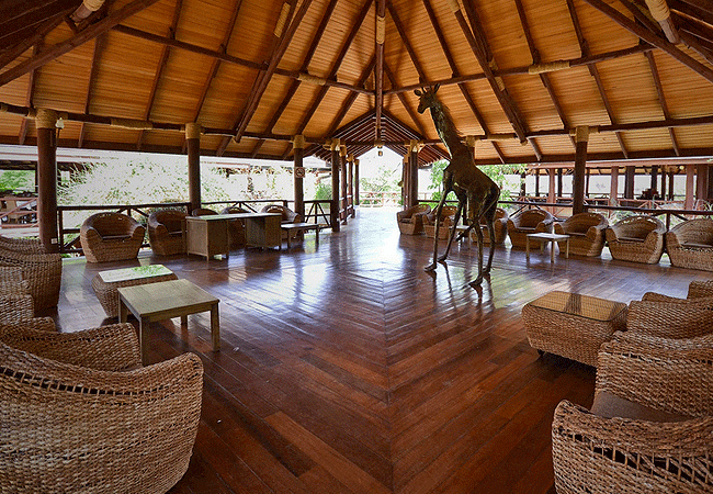 Samburu Simba Lodge Buffalo Springs National Reserve Kenya