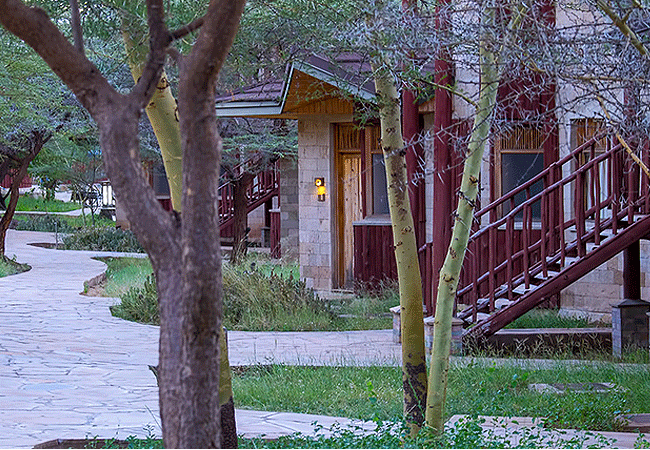 Samburu Simba Lodge Buffalo Springs National Reserve Kenya