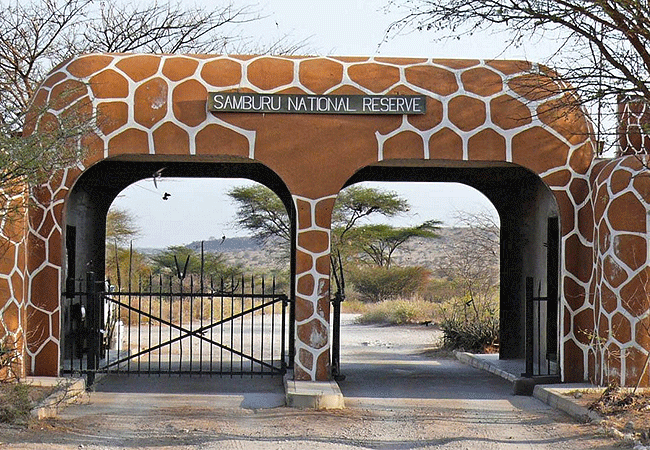 samburu-sopa-lodge-is-located-40-km-from-samburu-national-park-entrance-gate-and-is-a-distinguished-safari-destination-within -kenyas-samburu-national -reserve Samburu Sopa Lodge Samburu National Reserve
