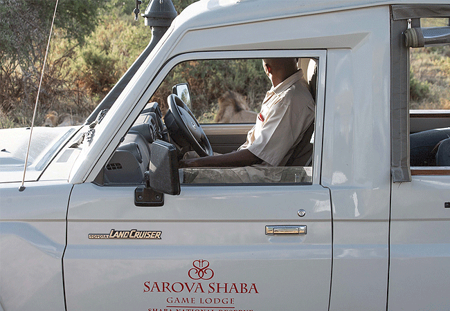 sarova-shaba-game-lodge-samburu-game-drives-in-kenyas-shaba-national-reserve-is-famous-for-its-unique-species-like-grevys-zebra-gerenuk-and-reticulated-giraffe-alongside-big-five-sightings Sarova Shaba Game Lodge Samburu National Reserve & Shaba Game Reserve