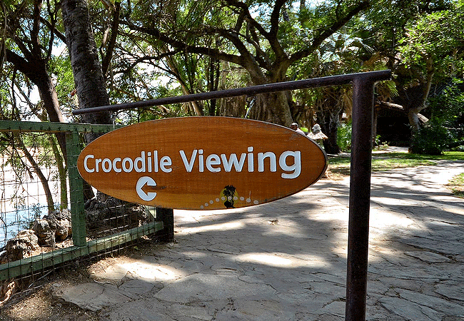 sarova-shaba-game-lodge-samburu-invites-guests-every-evening-to-watch-crocodiles-on-the-banks-of-the-riverfront Sarova Shaba Game Lodge Samburu National Reserve & Shaba Game Reserve