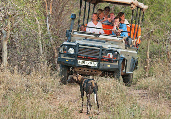 Saruni Samburu Lodge Kalama Conservancy