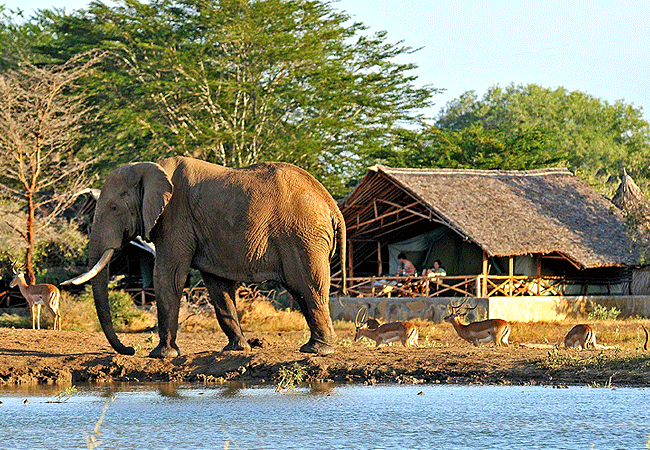 satao-safari-camp -tsavo-east-national-park-overlooks-a-busy-watering-hole,-attracting-a-wide-variety-of-wildlife Satao Safari Camp Tsavo East National Park