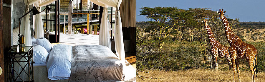 4 Days 3 Nights Segera Retreat Lodge Laikipia Fly-in Safari