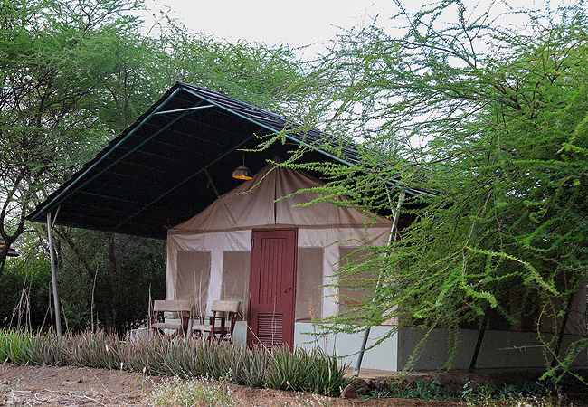 Sentrim Amboseli Lodge | Kimana Gate | Room Prices & Activities