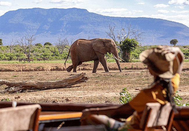 Sentrim Camp Tsavo East National Park