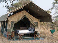 Serengeti Halisi Camp – Serengeti National Park