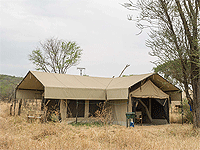 Serengeti Kati Kati Tented Camp, Seronera Area– Serengeti National Park