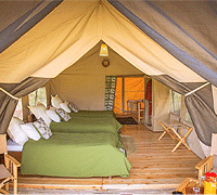 Serengeti Kuhama Camp – Serengeti National Park