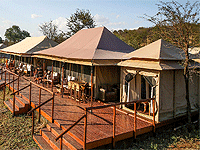  Serengeti Migration Camp(Acacia), North Serengeti – Serengeti National Park