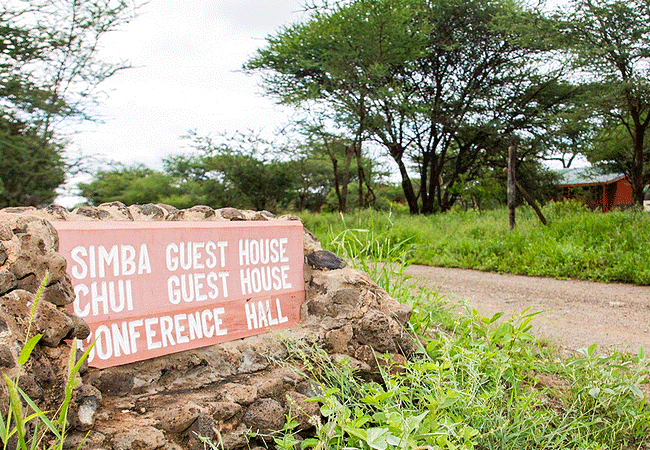 Simba Cottages Amboseli National Park