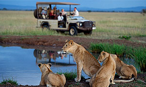 Singita Grumeti Conservancy Western corridor of the Serengeti - Tanzania