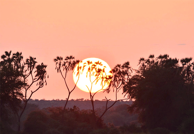 soroi-larsens-samburu-camp- Soroi Larsens Camp Samburu National Reserve