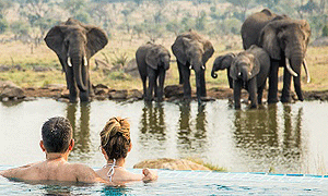  6 Days 5 Night Tanzania Safari Tours & Holidays