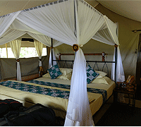 Tarangire Tortilis Camp – Tarangire National Park, Tanzania