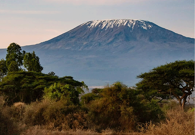 Tawi Lodge Amboseli National Park
