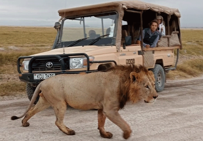 Tawi Lodge Amboseli National Park