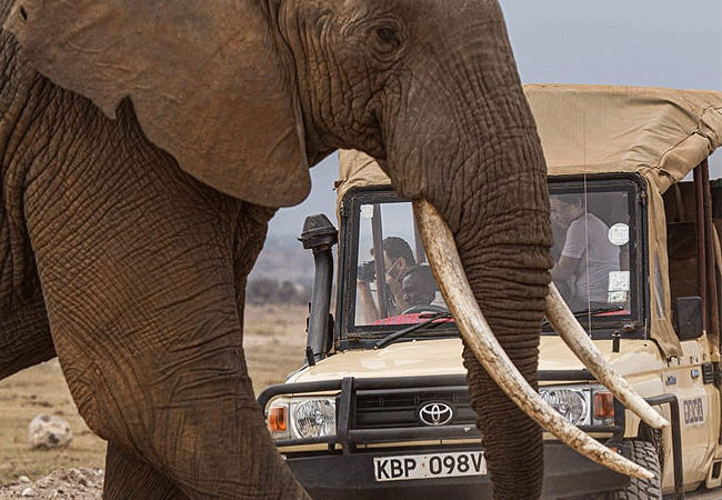 Tawi Lodge Amboseli National Park