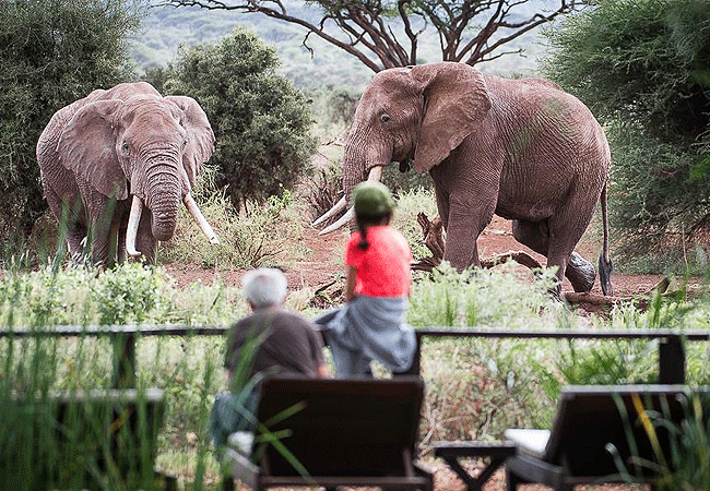 Tawi Lodge Amboseli National Park