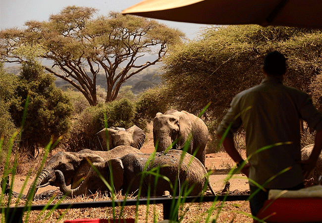 Tawi Lodge Amboseli National Park