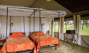 ThornTree Camp – Serengeti National Park