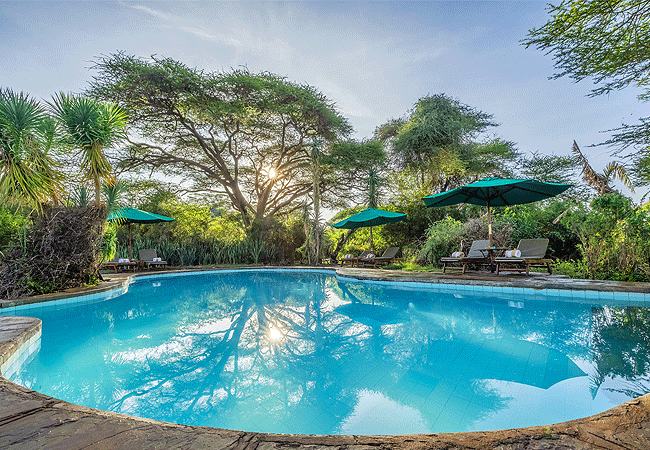 tortilis-camp-amboseli-pool-is-shaded-by-palms-and-acacia-and-is-a-haven-for-tropical-birds-and-has-bar-service-and-board-games Tortilis Camp Amboseli National Park | Prices | Facilities & Activities