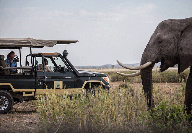 tortilis-camp-amboseli-elewana-is-located-on-the-south-western-edge-of-the-park-facing-the-mountain-and-overlooking-its-own-private-conservancy–kitirua-wildlife-conservancy Tortilis Camp Amboseli National Park | Prices | Facilities & Activities