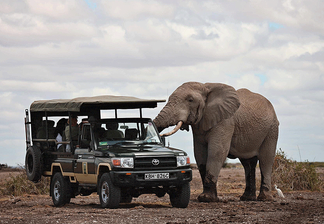 tortilis-camp-amboseli-national-park-kenya-adventures-include-twice-daily-game-drives-in-open-4×4-safari-vehicles Tortilis Camp Amboseli National Park | Prices | Facilities & Activities