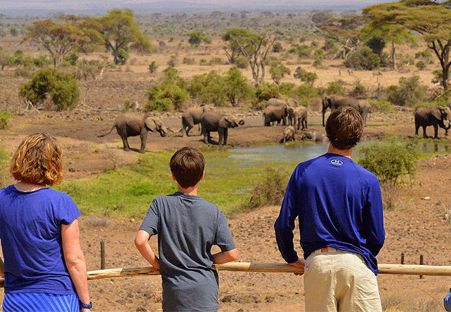 tortilis-camp-amboseli-national-park-kenya-guests-enjoy-views-of-elephants-from-the-terraces-in-the-main-lounge-bar-and-dining-area Tortilis Camp Amboseli National Park | Prices | Facilities & Activities