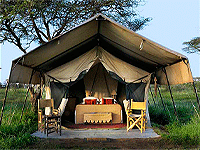 Ubuntu Camp – Serengeti National Park
