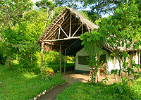 Udzungwa Forest Tented Camp, Kilombero Valley – Udzungwa National Park