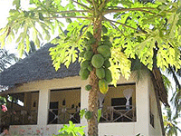 Vanilla Arches Villa, Bwejuu – Zanzibar South East Coast