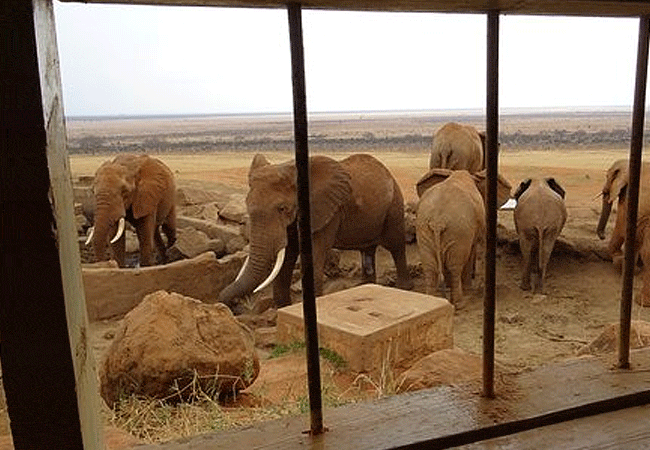 Voi Safari Lodge Tsavo East National Park