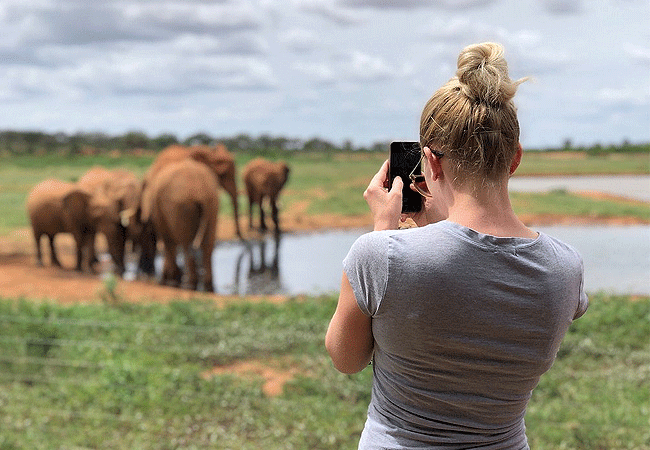 voi-wildlife-lodge -tsavo-east-national-park-game-viewing-at-the-lodge Voi Wildlife Lodge Tsavo East National Park Kenya