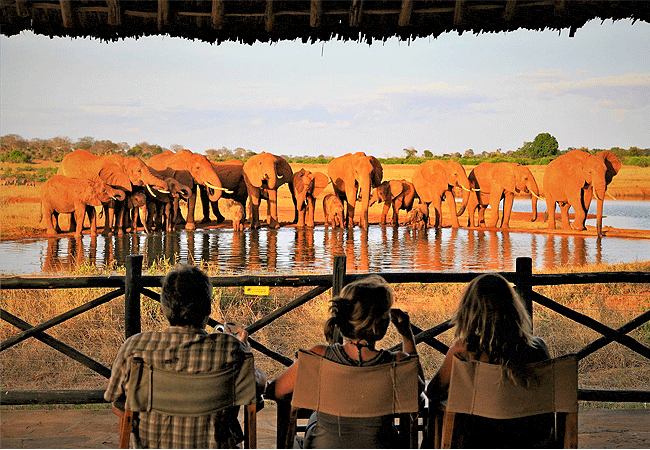 voi-wildlife-lodge -tsavo-east-national-park-has-viewing-platform-to-see elephants-and-other-animals Voi Wildlife Lodge Tsavo East National Park Kenya