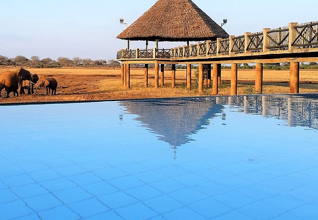 voi-wildlife-lodge -tsavo-east-national-park-pool Voi Wildlife Lodge Tsavo East National Park Kenya